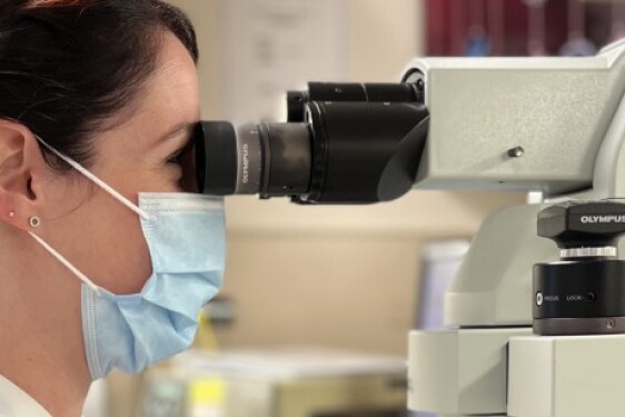 Techno médicale ( laboratoire)